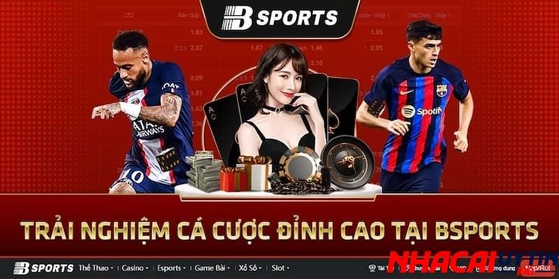 Bsport - Sự lựa chọn hàng đầu cho tân thủ mới 